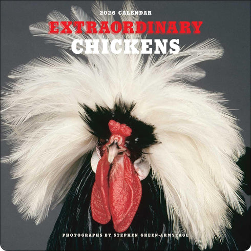 EXTRAORDINARY CHICKENS 2026 WALL CALENDAR